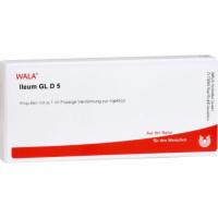 ILEUM GL D 5 Ampullen