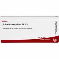 ARTICULATIO sacroiliaca GL D 6 Ampullen