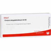 CORPUS AMYGDALOIDEUM GL D 5 Ampullen
