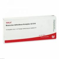 MUSCULUS DELTOIDEUS Komplex GL D 15 Ampullen