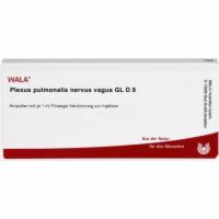 PLEXUS PULMONALIS Nervus vagus GL D 8 Ampullen