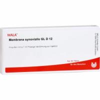 MEMBRANA synovialis GL D 12 Ampullen