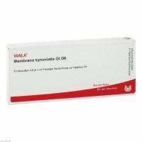 MEMBRANA synovialis GL D 6 Ampullen