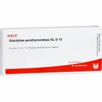 GLANDULAE PARATHYREOIDEAE GL D 12 Ampullen