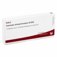 FASCICULUS atrioventricularis GL D 30 Ampullen