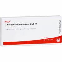 CARTILAGO articularis coxae GL D 10 Ampullen