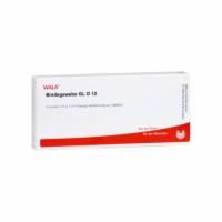 BINDEGEWEBE GL D 12 Ampullen