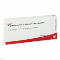 TRIGONUM vesicae et Musculus sphincter GL D 8 Amp.
