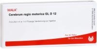 CEREBRUM REGIO motorica GL D 12 Ampullen