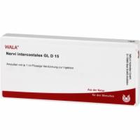NERVI intercostales GL D 15 Ampullen
