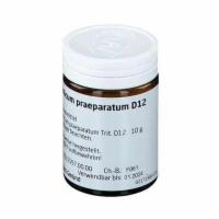 ARGENTUM METALLICUM praeparatum D 12 Trituration