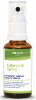CALENDULA SPRAY