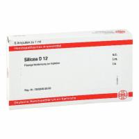 SILICEA D 12 Ampullen