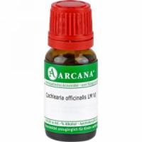 COCHLEARIA OFFICINALIS LM 6 Dilution