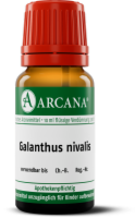 GALANTHUS NIVALIS LM 13 Dilution