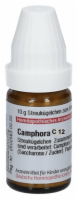 CAMPHORA C 12 Globuli