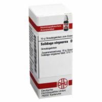 SOLIDAGO VIRGAUREA C 12 Globuli