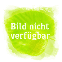 PEDIKÜRFEILE pink Blister